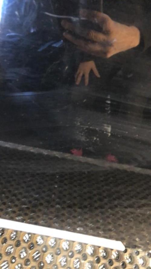 Photo de la pièce