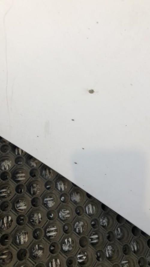 Photo de la pièce