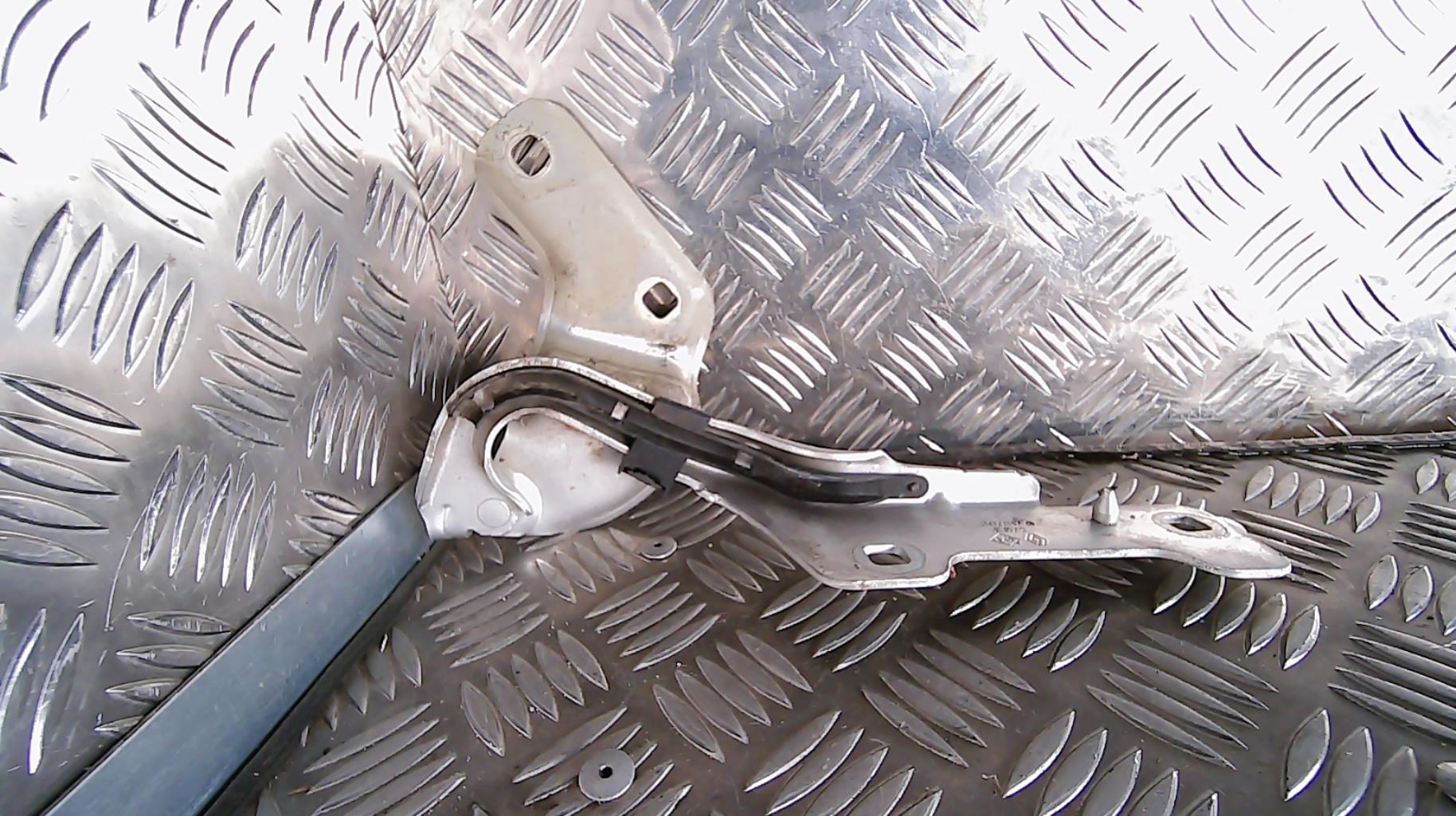 Charniere de capot RENAULT CLIO 3 PHASE 2 Diesel - 1