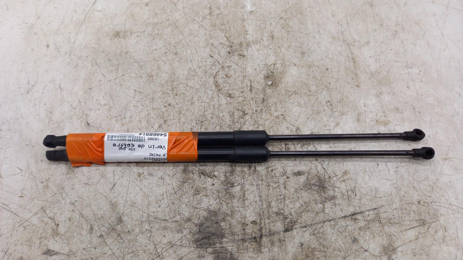 Verin de coffre RENAULT SCENIC 4 Diesel - 1