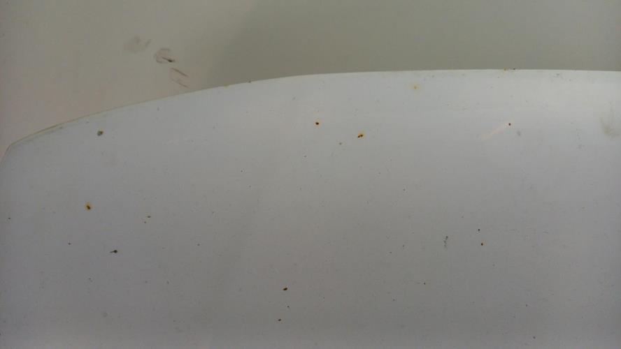 Photo de la pièce