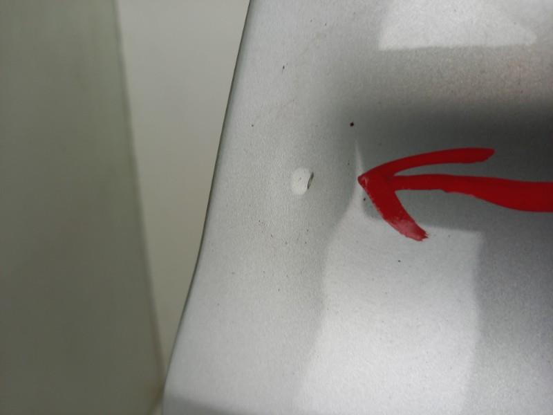 Portiera anteriore sinistra RENAULT CLIO 3 PHASE 1 Diésel - 1