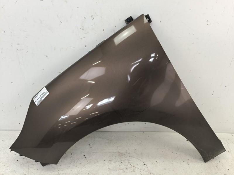 Parafango anteriore sinistro RENAULT GRAND SCENIC 3 PHASE 1 Diésel - 1
