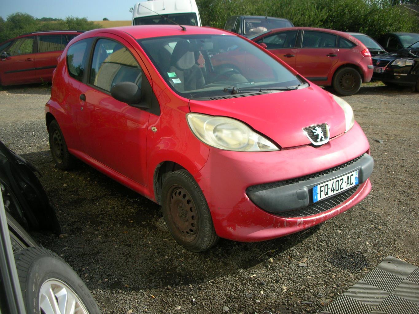 Servofreno PEUGEOT 107 PHASE 1 Gasolina - 1