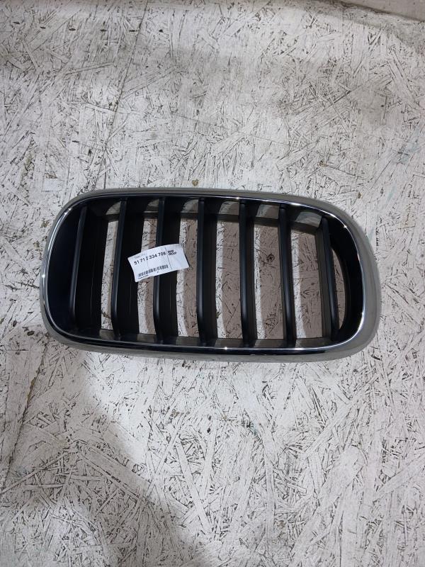 Griglia calandra sinistra BMW X5 F15 Diésel - 1