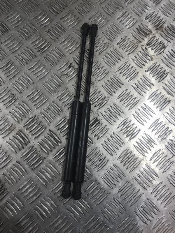 Verin de capot BMW SERIE 5 E39 PHASE 1 Essence - 1
