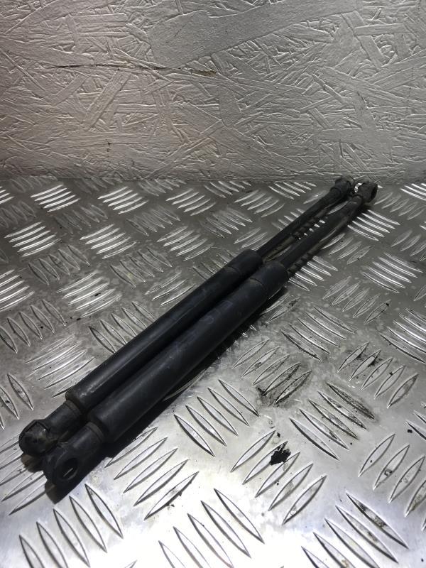 Verin de capot BMW SERIE 3 E46 PHASE 1 Diesel - 1