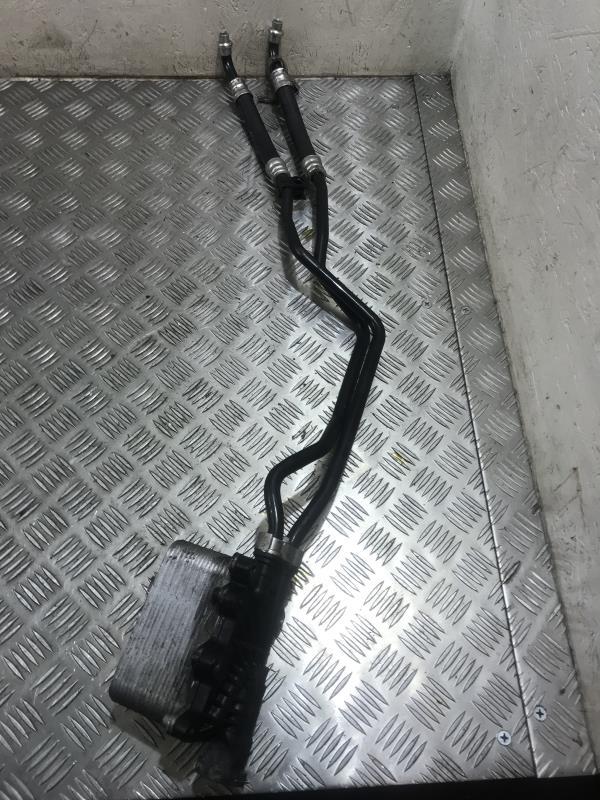 Radiatore olio BMW SERIE 5 E60 PHASE 1  - 1