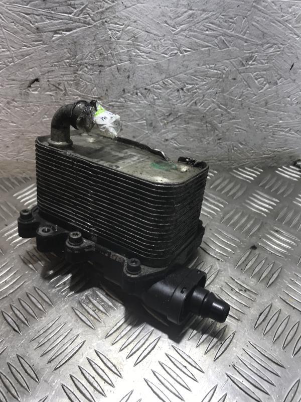 Radiatore olio BMW SERIE 5 E60  - 1