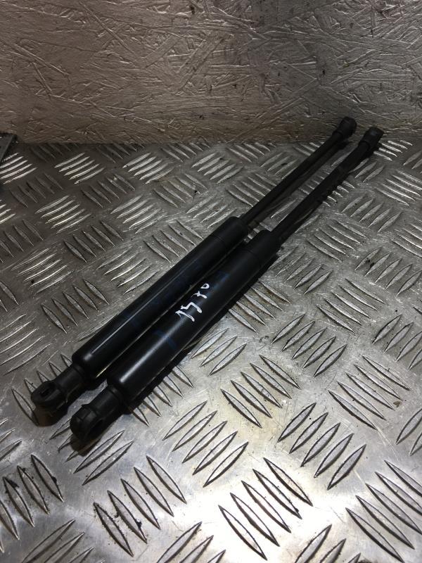 Verin de capot BMW SERIE 5 E39 PHASE 2 Diesel - 1