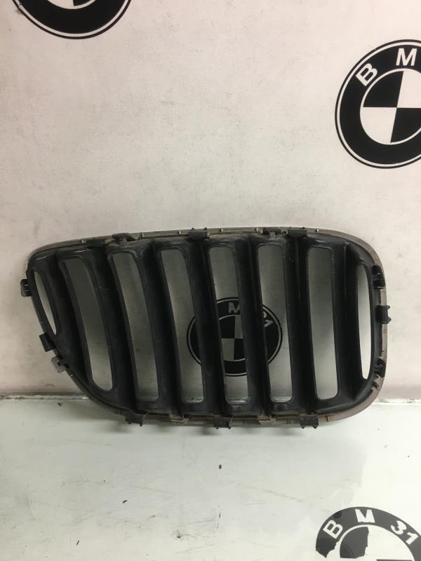 Grille de calandre gauche BMW X5 E53  - 1