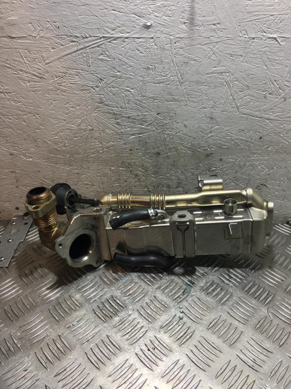 Radiatore EGR BMW X5 F15  - 1