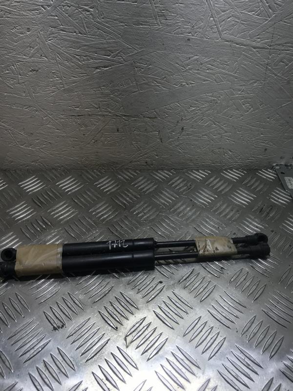 Verin de capot BMW SERIE 3 E46 PHASE 1 Essence - 1