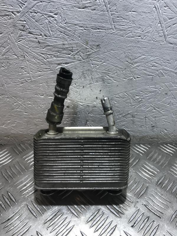 Radiateur huile BMW X5 E53 Diesel - 1
