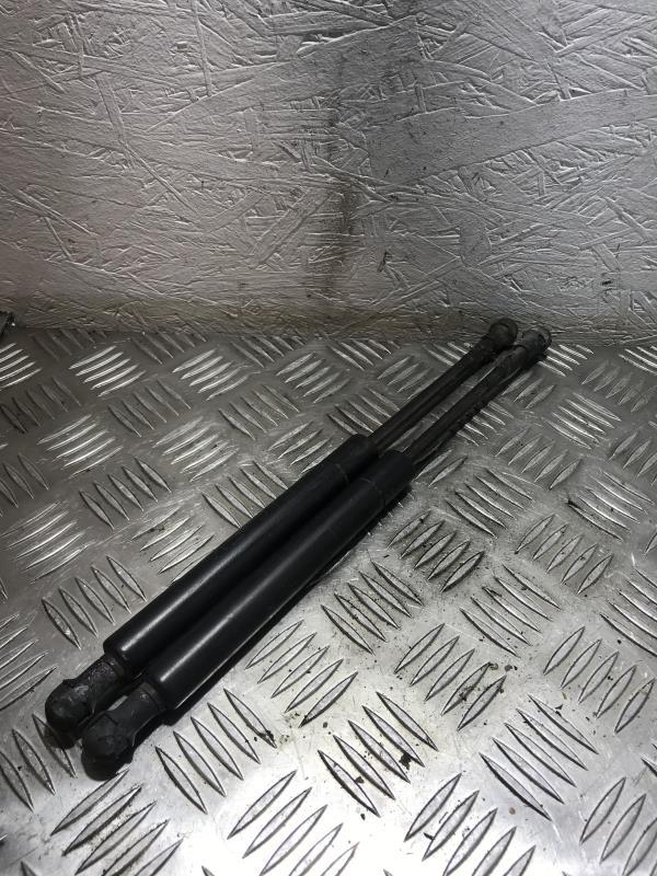 Verin de capot BMW SERIE 3 E46 PHASE 1 Diesel - 1