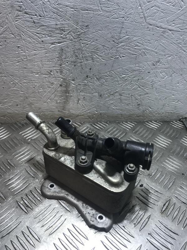Radiatore olio BMW SERIE 3 E90 PHASE 2  - 1
