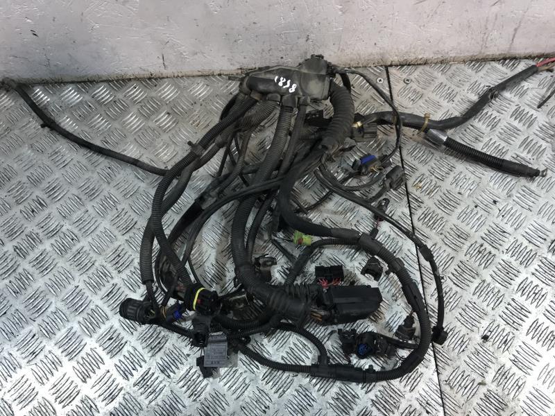 Cablaggio motore MINI MINI 1 R50/R53 PHASE 2 Gasolina - 1