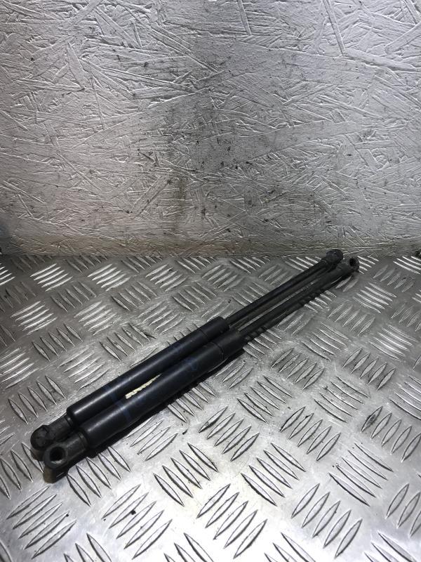 Verin de capot BMW SERIE 5 E39  - 1