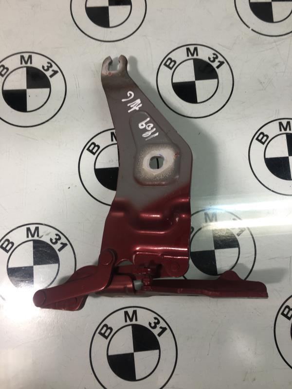 Charniere de capot BMW X6 E71 PHASE 1 Essence - 1