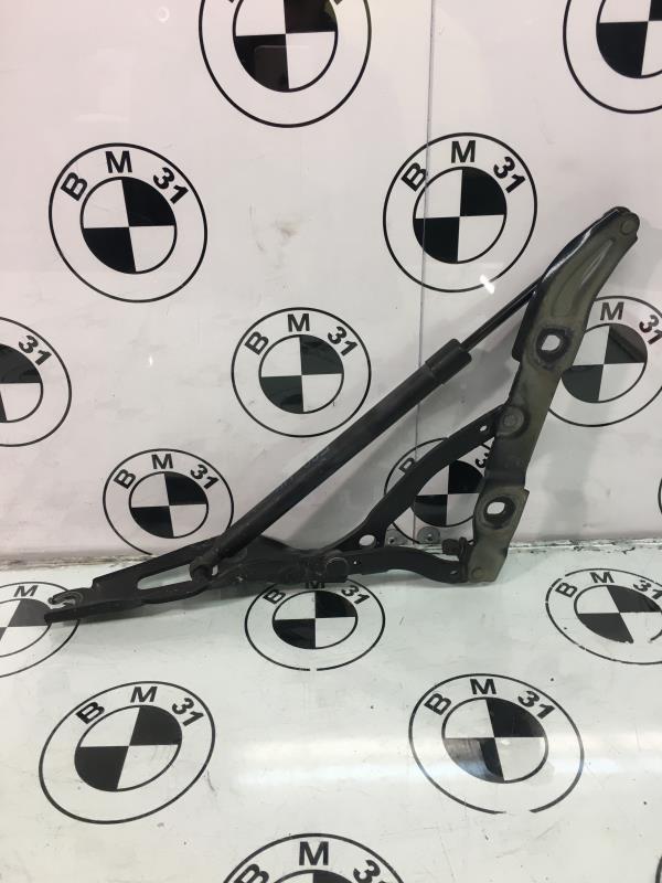 Cerniera portiera anteriore sinistra BMW SERIE 3 E90 PHASE 1 Diésel - 1