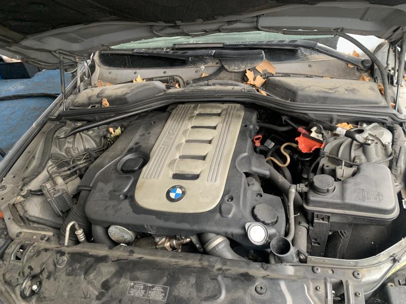 Radiatore olio BMW SERIE 5 E61 TOURING PHASE 1 BREAK Diésel - 1