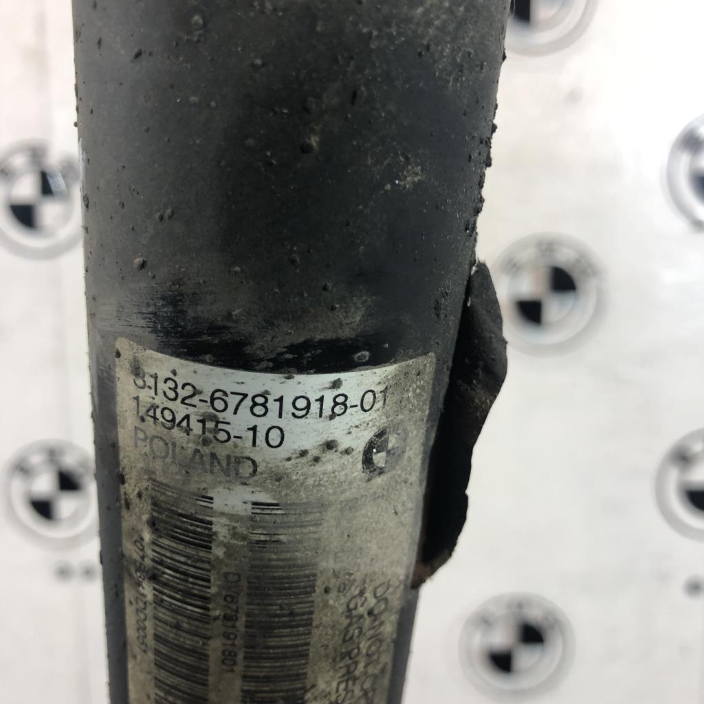 Ammortizzatore anteriore sinistro BMW X5 E70 PHASE 1 Diésel - 1