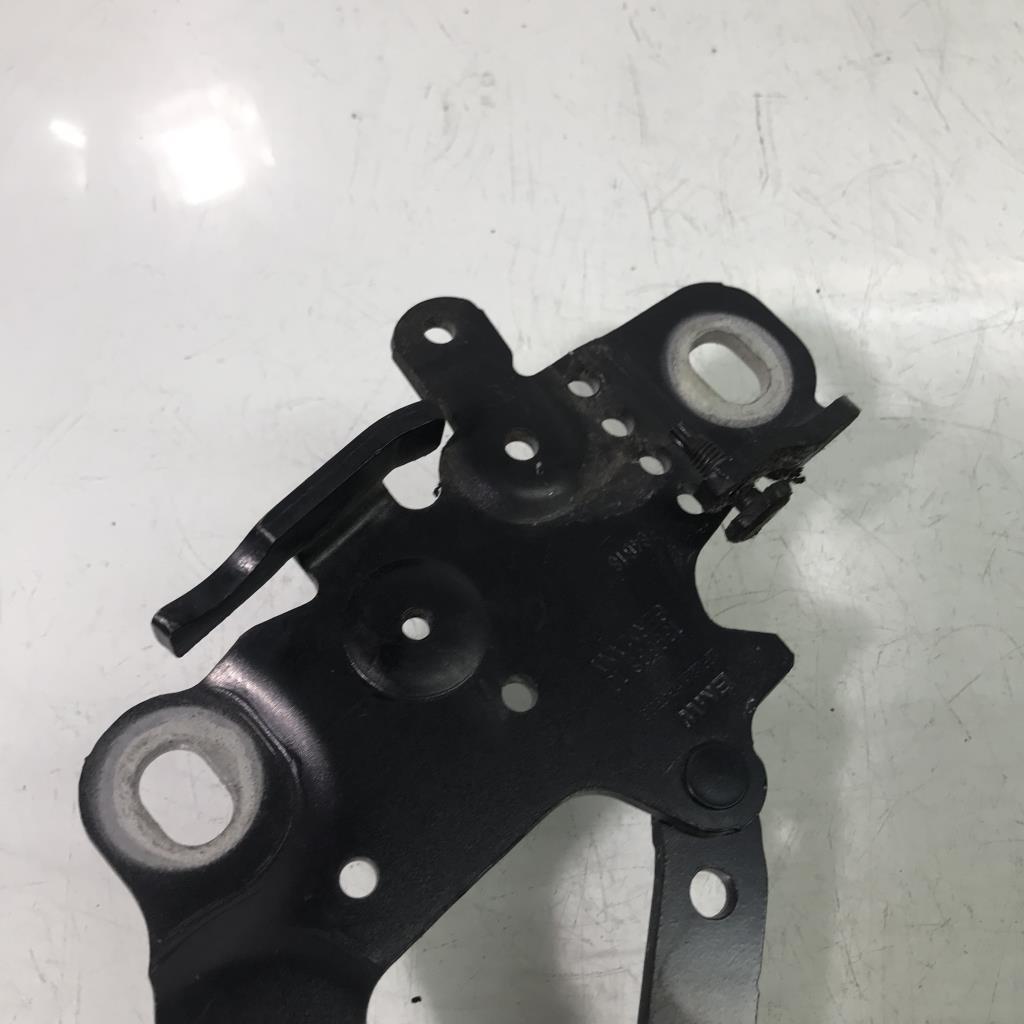Cerniera cofano BMW SERIE 1 F21 PHASE 2  - 1