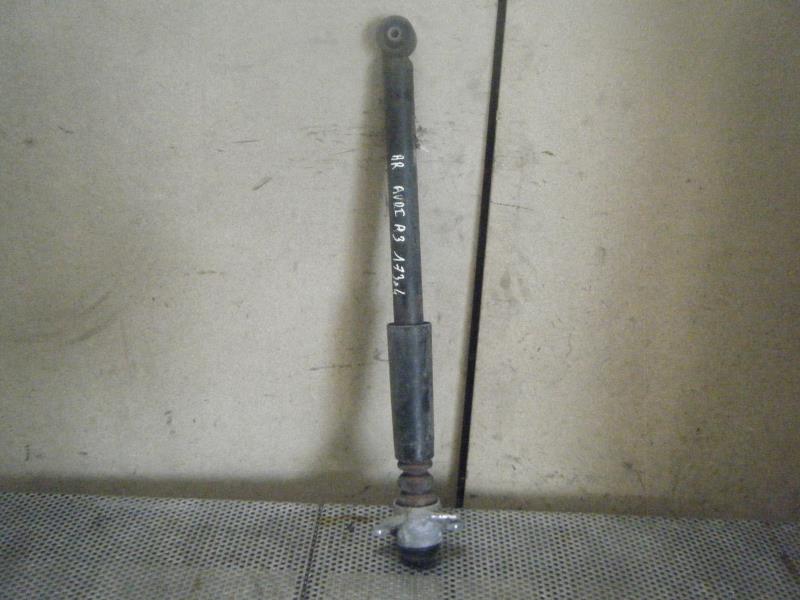Ammortizzatore posteriore destro AUDI A3 1 Diésel - 1