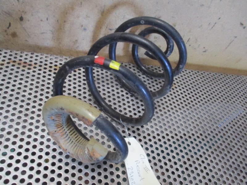 Molla sospensione posteriore sinistra RENAULT CLIO 3 PHASE 1 Diésel - 1