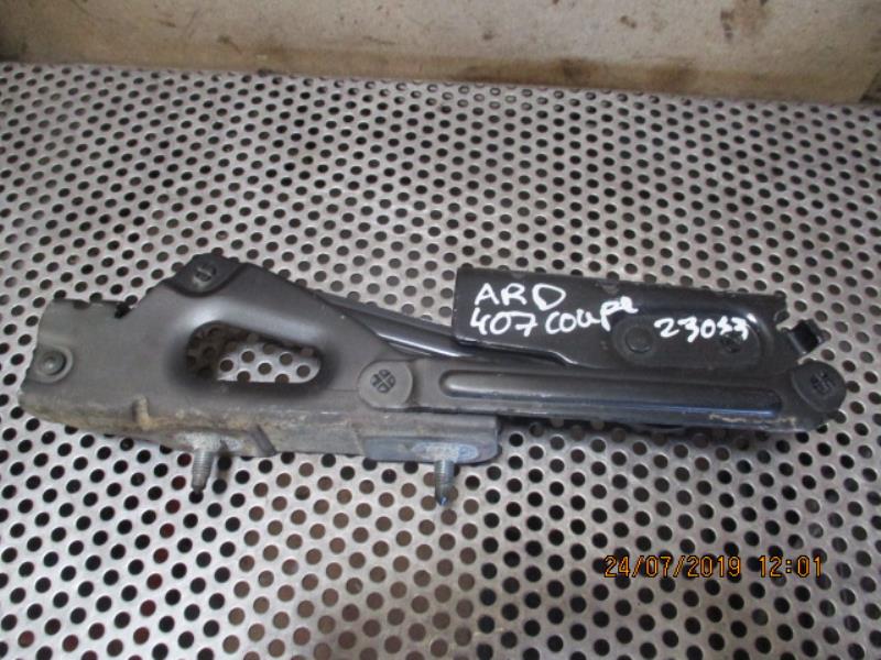 Cerniera portellone posteriore PEUGEOT 407  - 1