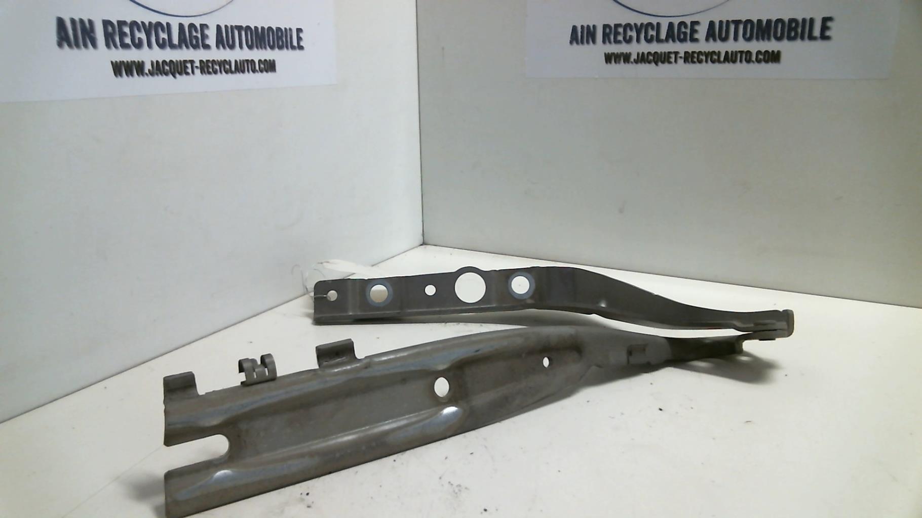 Charniere de capot PEUGEOT 407 PHASE 1 Diesel - 1