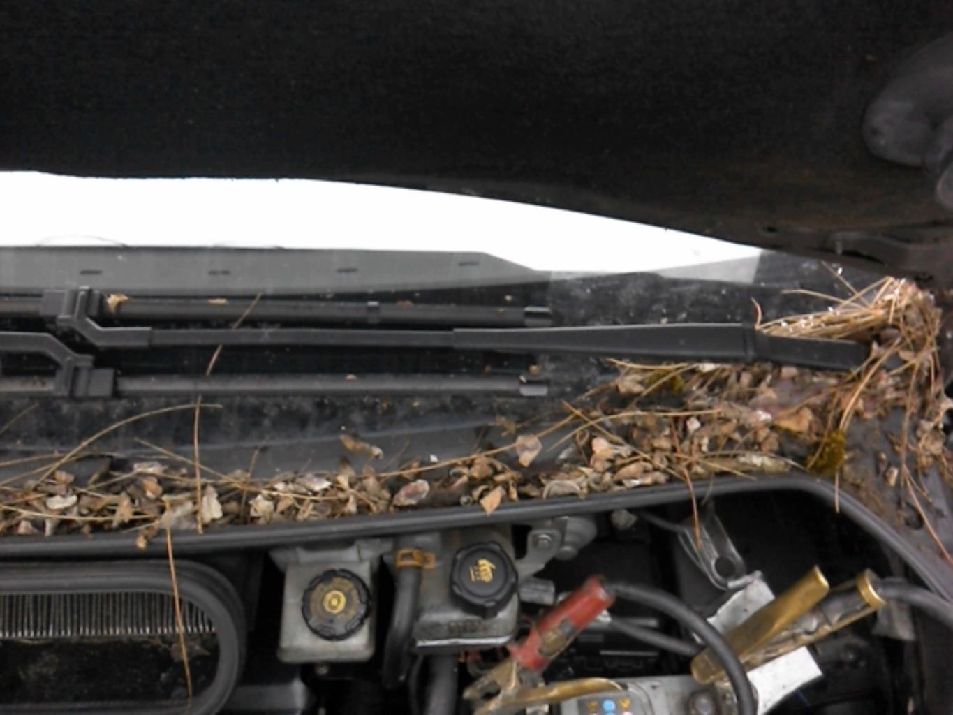 Braccio tergicristallo anteriore sinistro RENAULT ESPACE 4 PHASE 1 Diésel - 1
