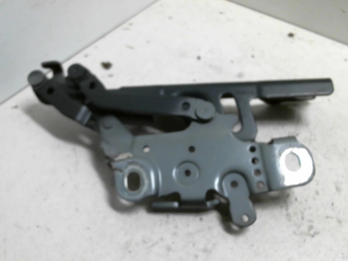 Cerniera cofano BMW SERIE 1 F20 F21  - 1