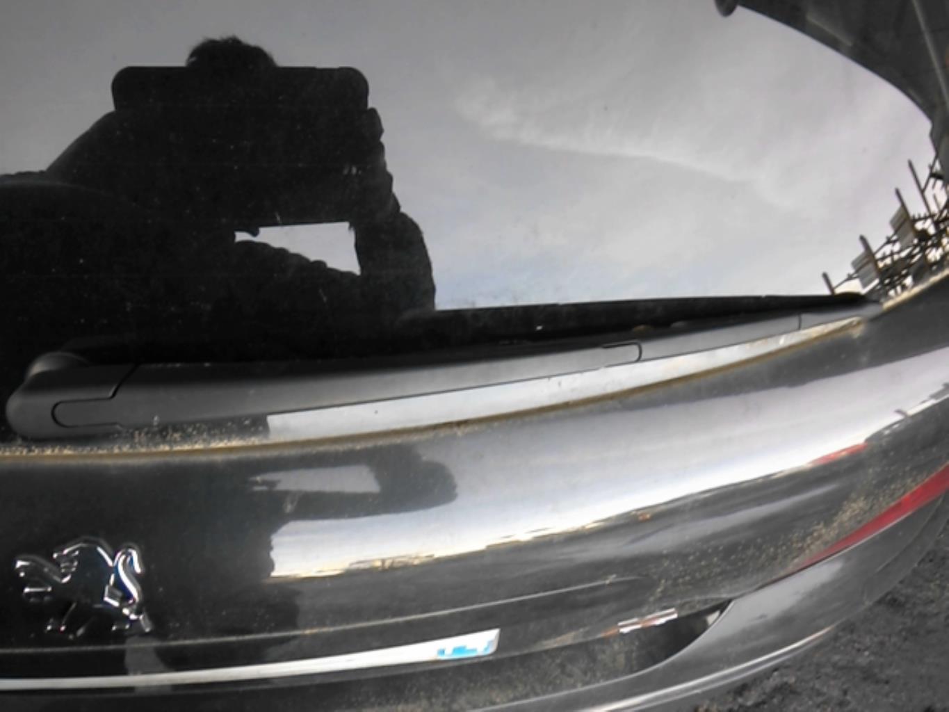 Braccio tergicristallo posteriore PEUGEOT 207 Gasolina - 1