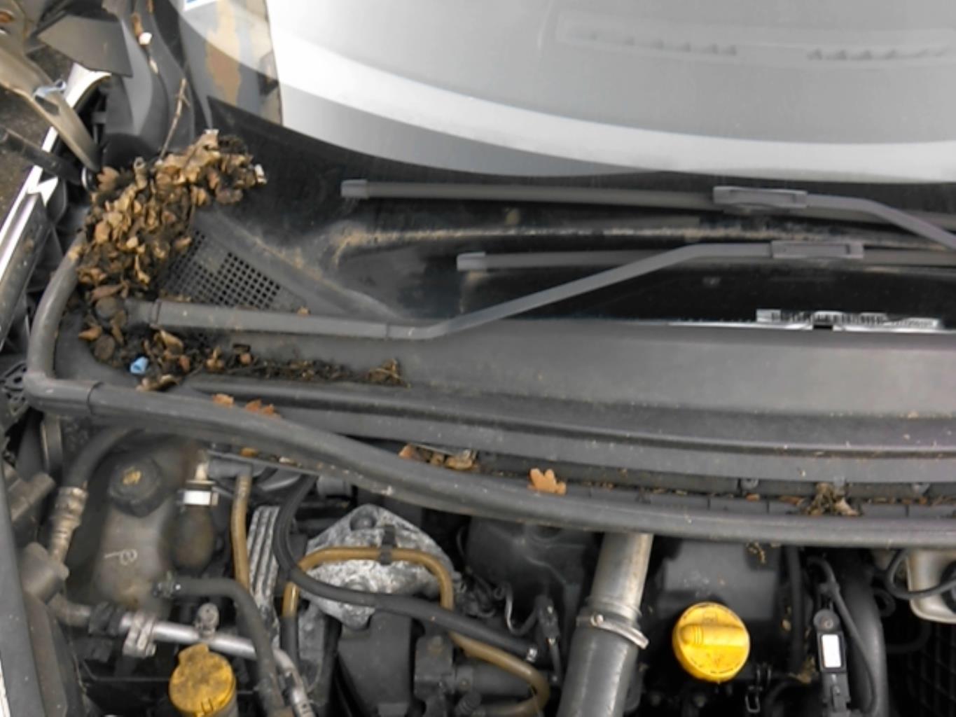 Braccio tergicristallo anteriore sinistro RENAULT SCENIC 3 PHASE 1 Diésel - 1