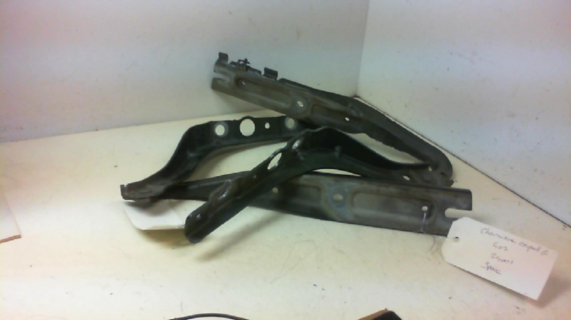 Cerniera cofano PEUGEOT 407 PHASE 1 Gasolina - 1