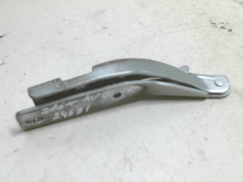 Cerniera portiera anteriore sinistra PEUGEOT 206+ Diésel - 1