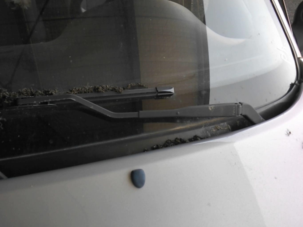 Braccio tergicristallo anteriore sinistro CITROEN SAXO PHASE 1 Gasolina - 1