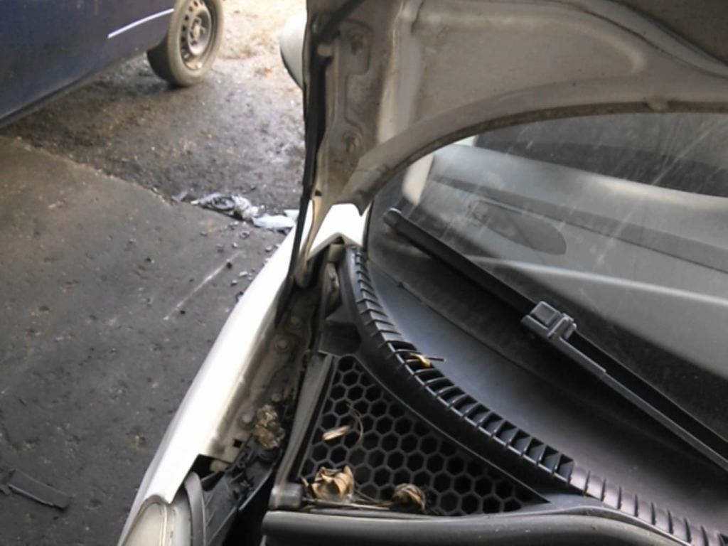 Charniere de capot PEUGEOT 207 Diesel - 1