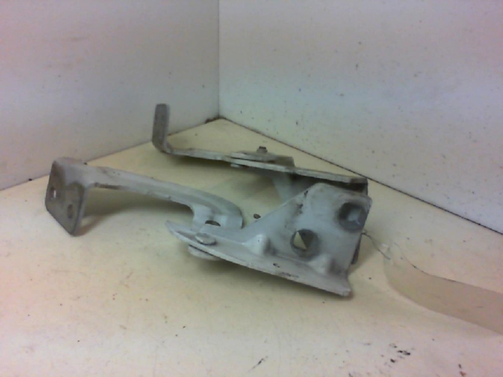 Charniere de capot RENAULT KANGOO 1 PHASE 2 Diesel - 1