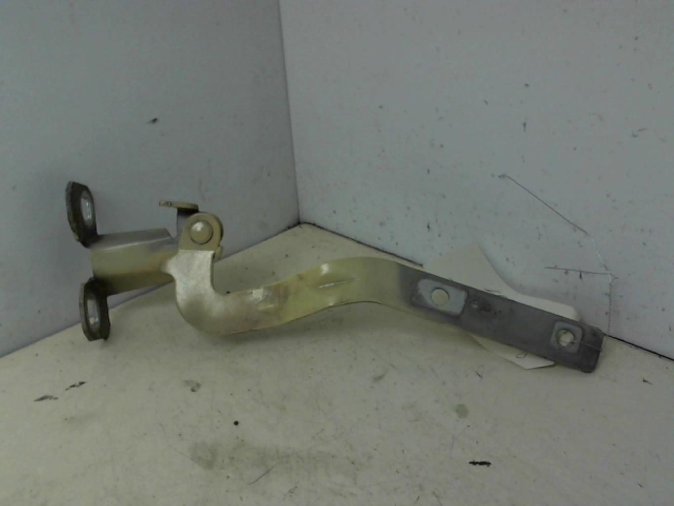 Charniere de capot FIAT PANDA 2 PHASE 1 Essence - 1