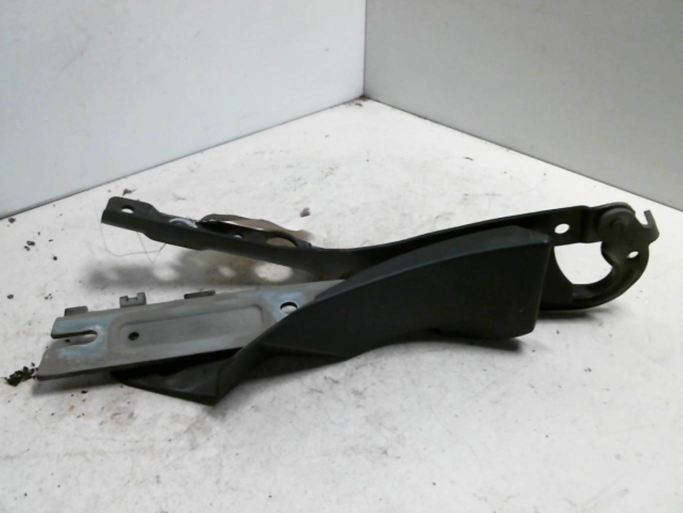 Cerniera cofano PEUGEOT 407 PHASE 1 Diésel - 1