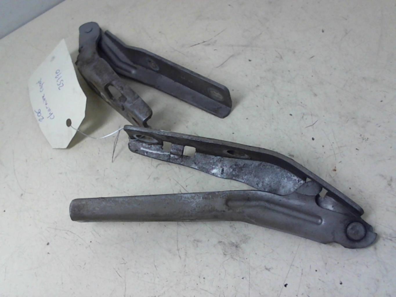 Cerniera cofano PEUGEOT 206 Gasolina - 1