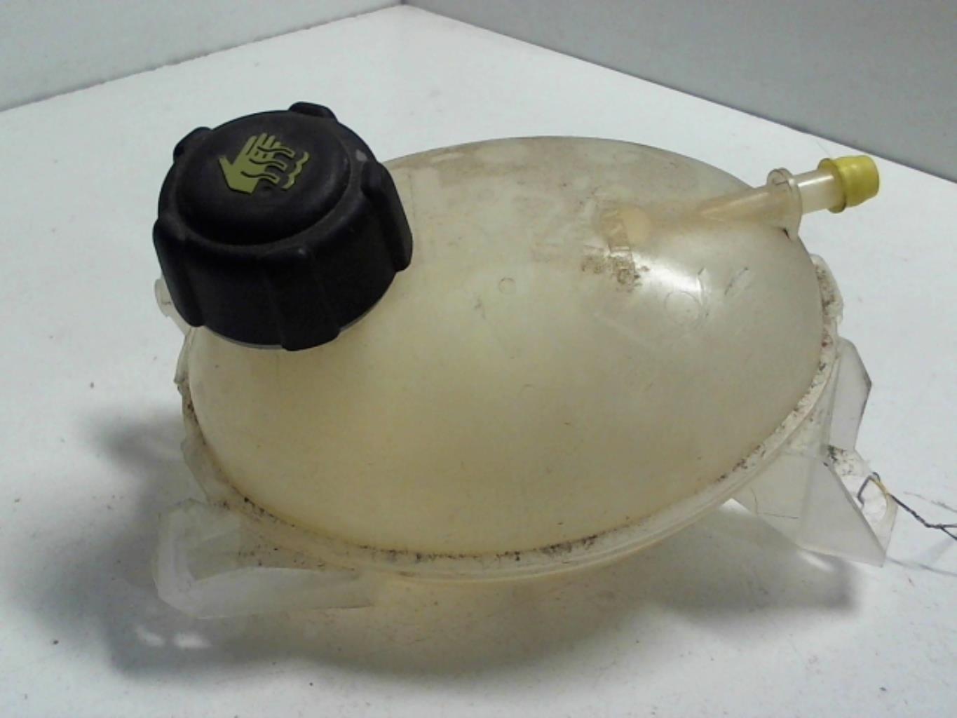 Vaso di espansione DACIA SANDERO 2  - 1
