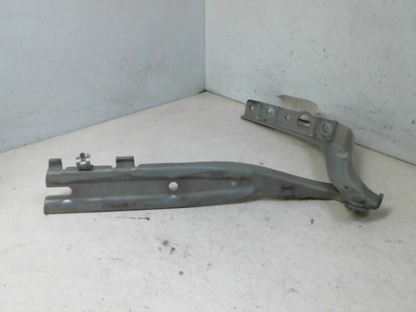 Cerniera cofano PEUGEOT 407 PHASE 1 Diésel - 1