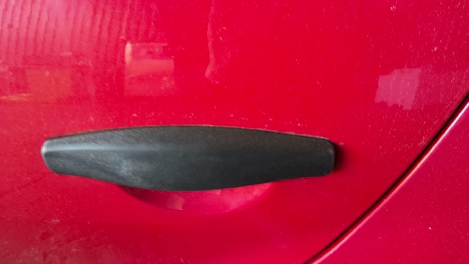 Maniglia portiera posteriore sinistra DACIA SANDERO 1 Gasolina/GLP - 1