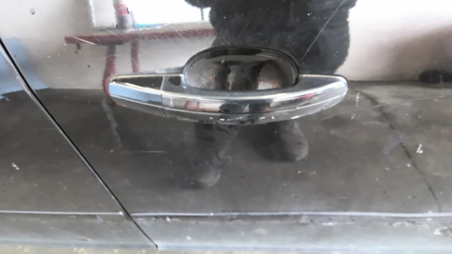 Maniglia portiera anteriore destra FORD C-MAX 1 PHASE 2  - 1