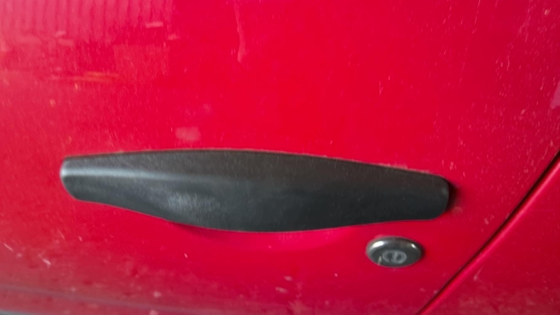 Maniglia portiera anteriore sinistra DACIA SANDERO 1 Gasolina/GLP - 1