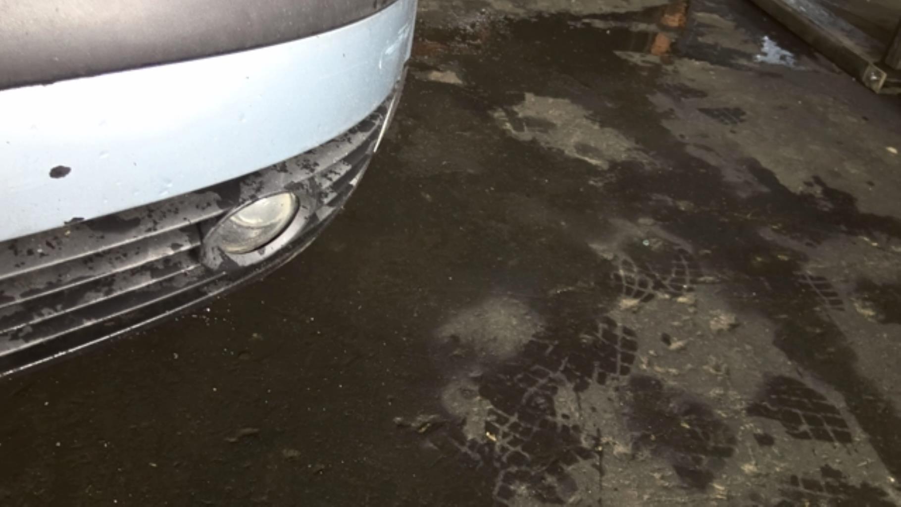 Fendinebbia sinistro (luce) VOLKSWAGEN PASSAT 4 PHASE 2 Diésel - 1