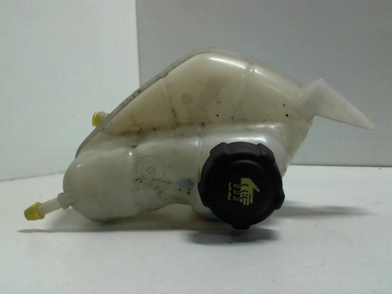 Vaso di espansione NISSAN QASHQAI 2 PHASE 2 Gasolina - 1